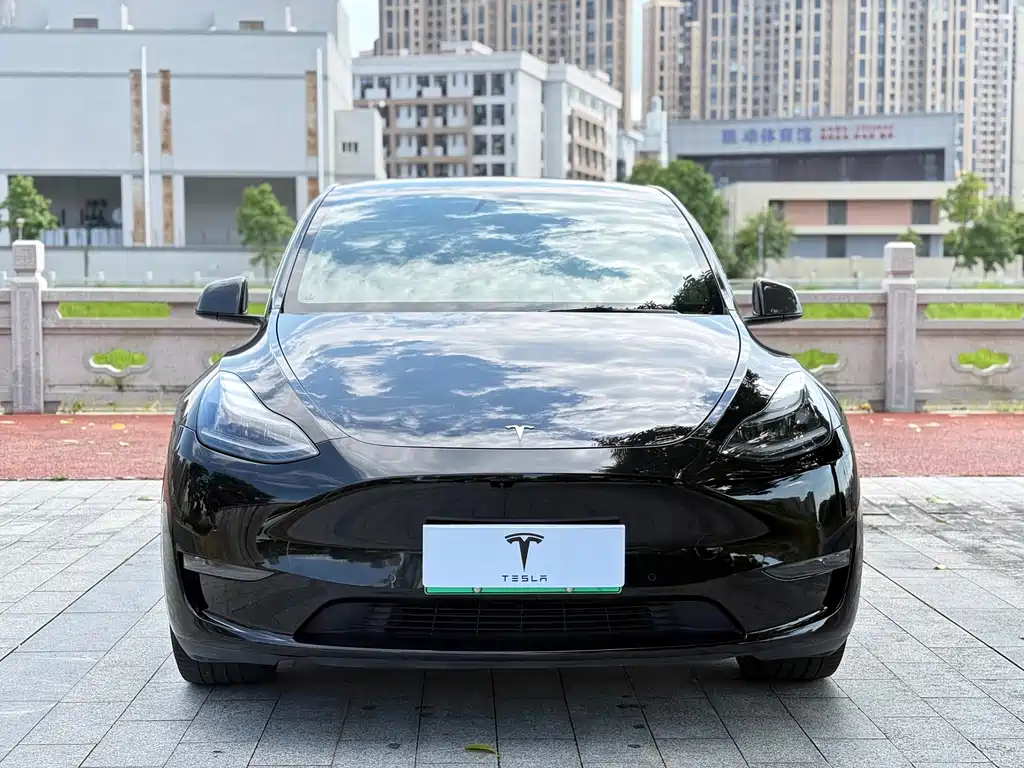 Tesla Model Y — миниатюра 2