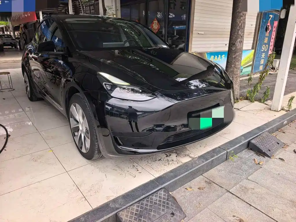 Tesla Model Y — миниатюра 3