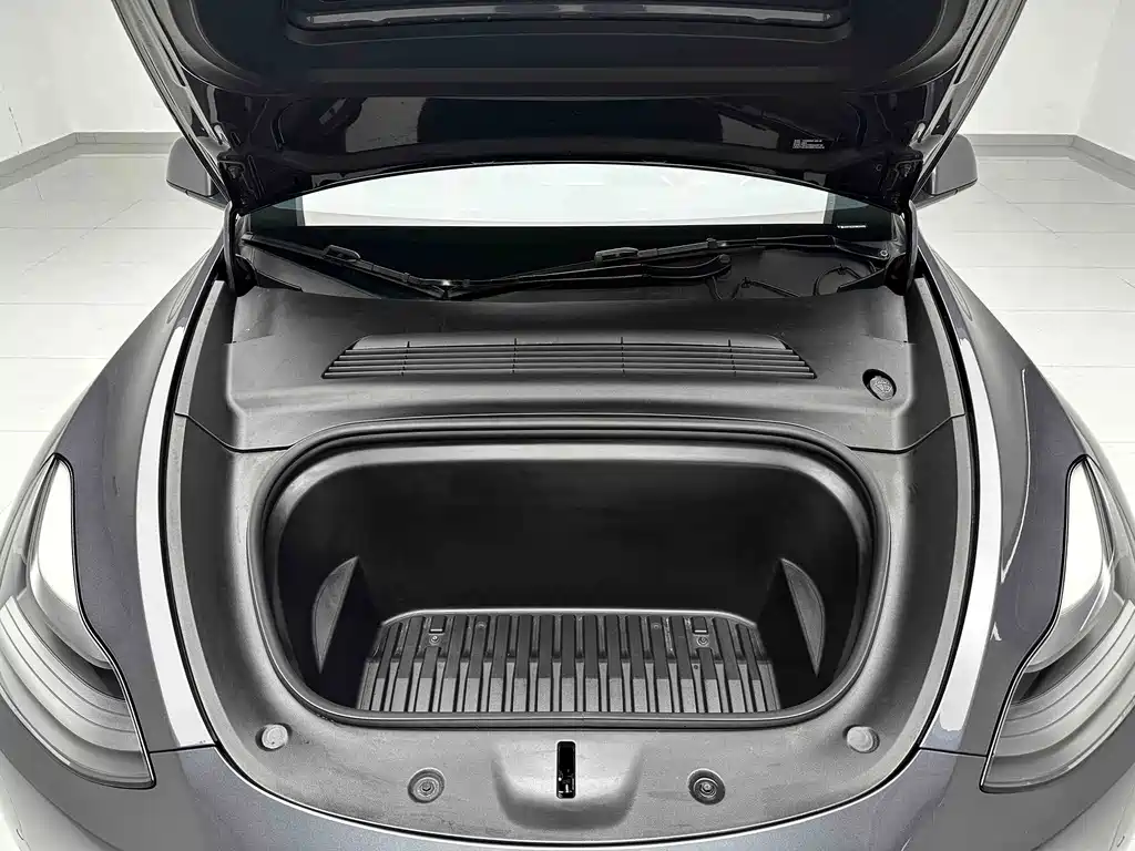 Tesla Model Y — миниатюра 18