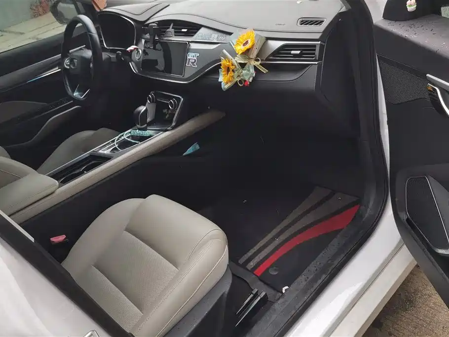 GEELY AUTOMOBILE BINRUI