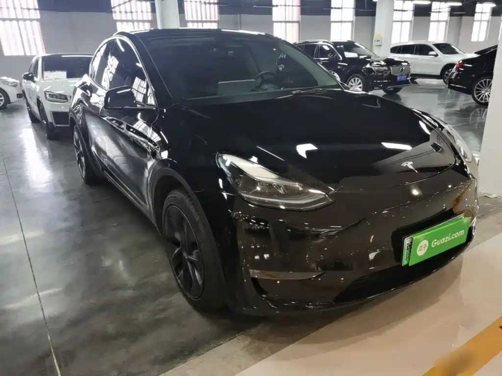 Tesla Model Y — миниатюра 4