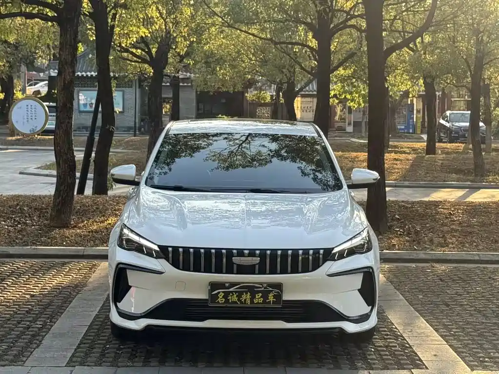 GEELY AUTOMOBILE BINRUI