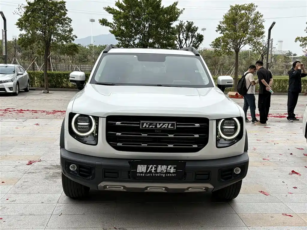 HAVAL BIG DOG