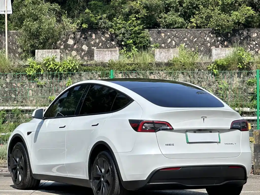 Tesla Model Y — миниатюра 12