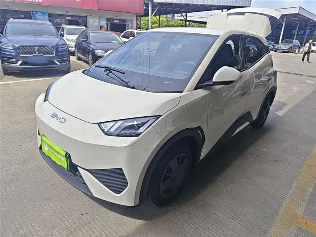 Byd Seagull 2025