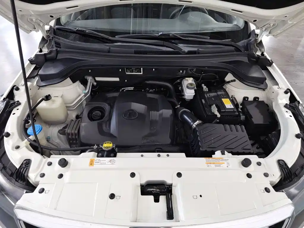 BAIC Senova X55 — миниатюра 6