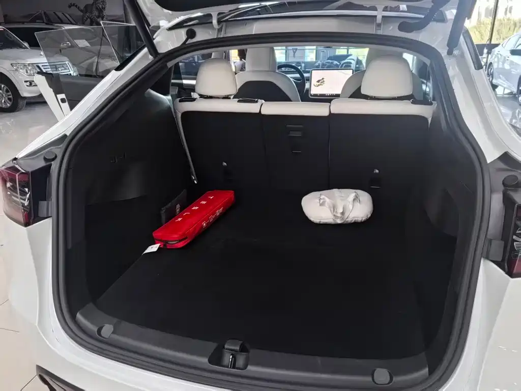 Tesla Model Y — миниатюра 10