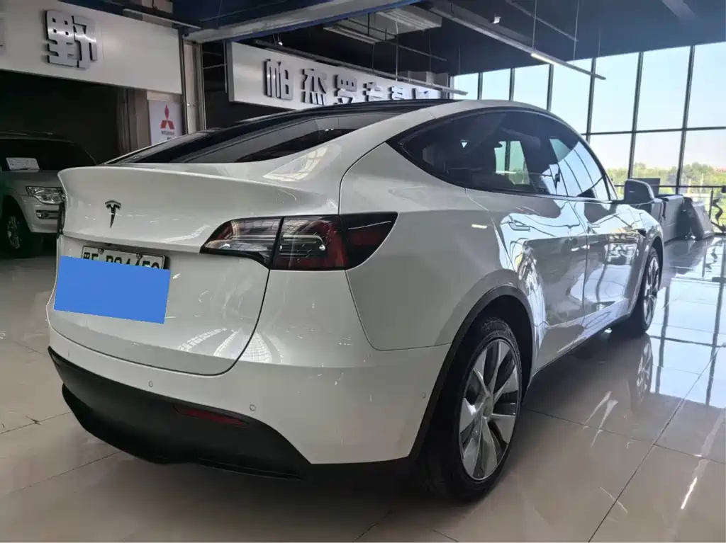 Tesla Model Y — миниатюра 4