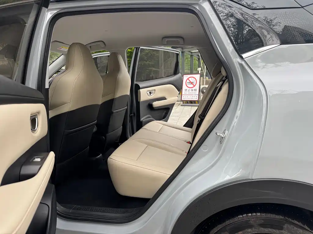 Wuling BinguoPLUS PLUS 2024 330km мест