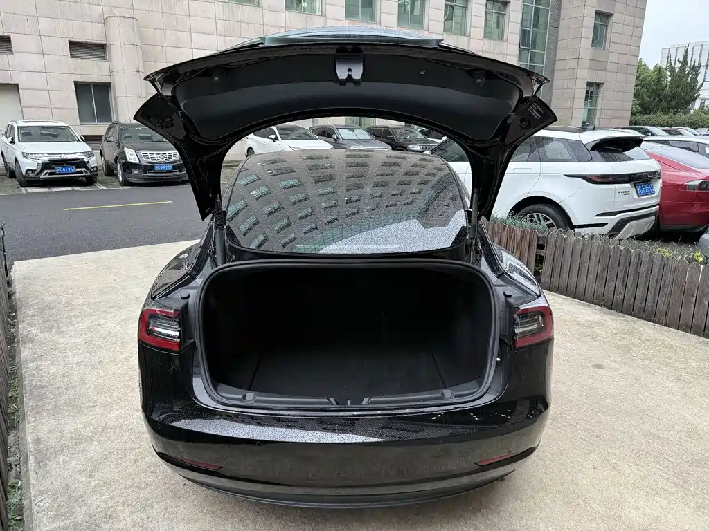 Tesla Model 3 — миниатюра 17