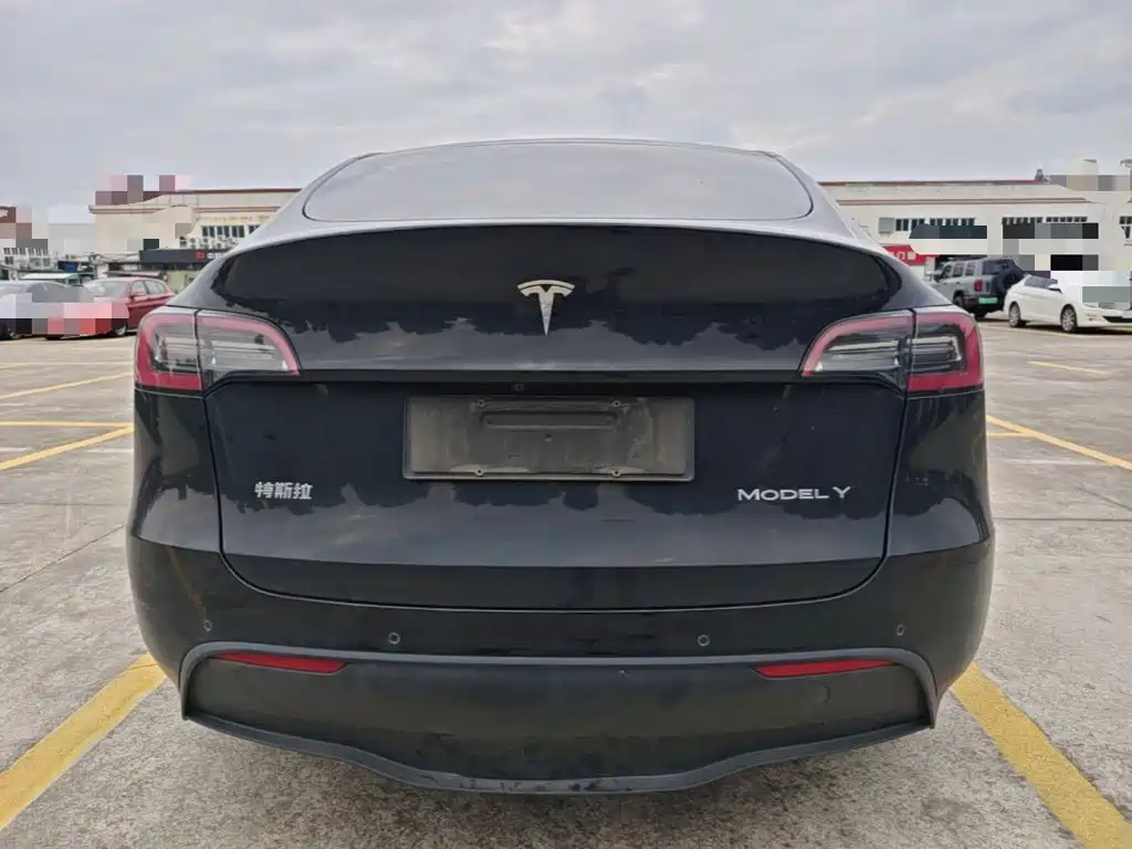 Tesla Model Y — миниатюра 6