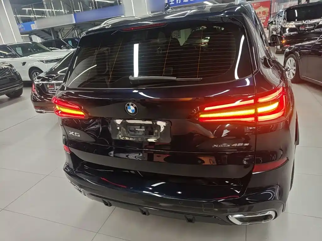BMW X5 New Energy (Import) — миниатюра 6