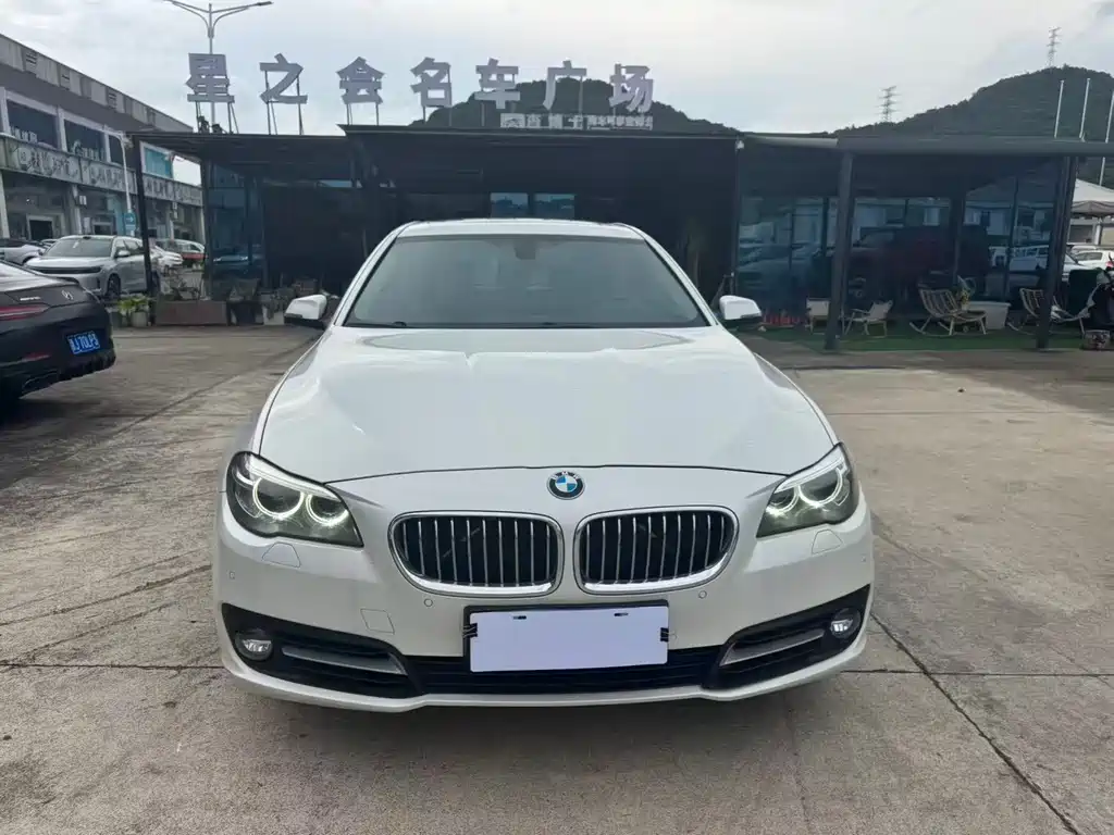 BMW 5 Series 5 2014 528Li Lead