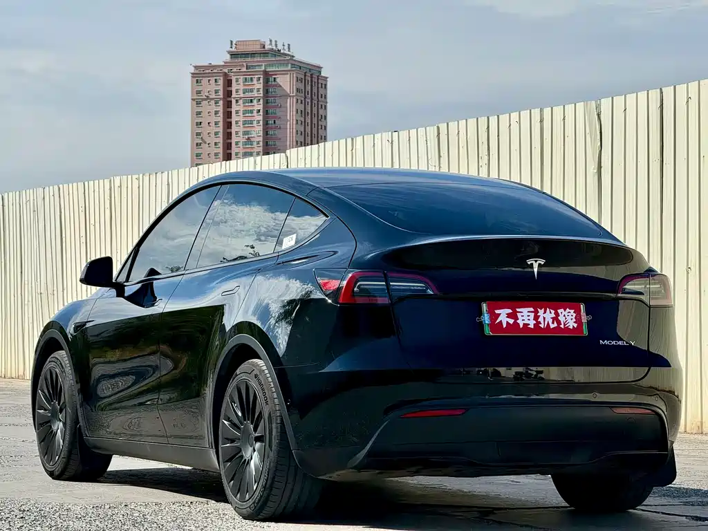Tesla Model Y — миниатюра 7