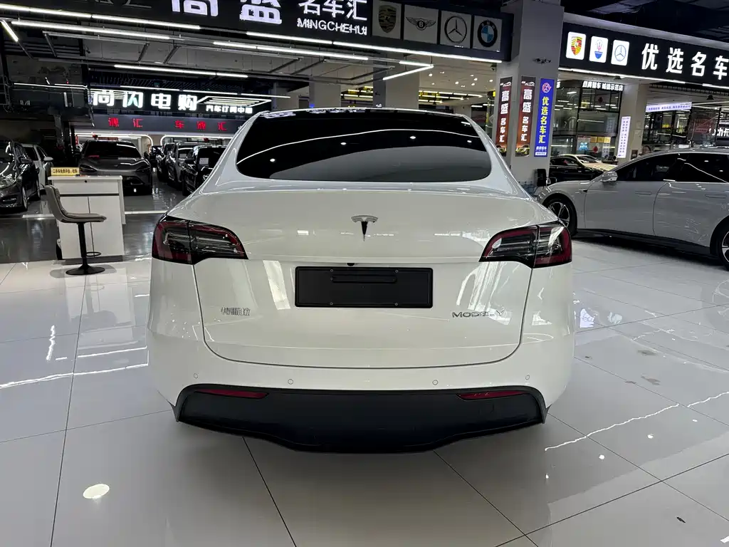 Tesla Model Y — миниатюра 19