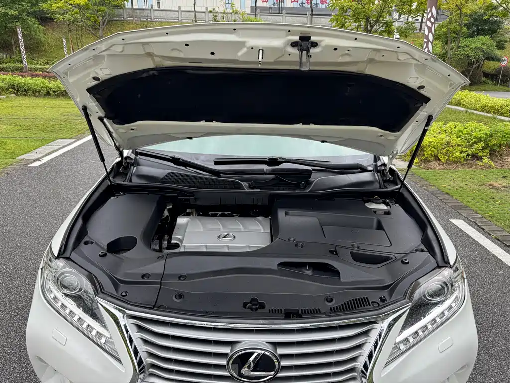 Lexus RX Classic — миниатюра 28
