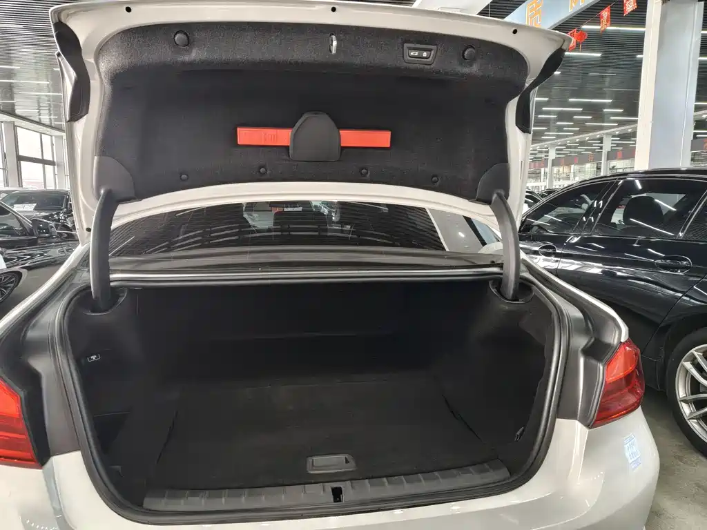 BMW 5 SERIES NEW ENERGY