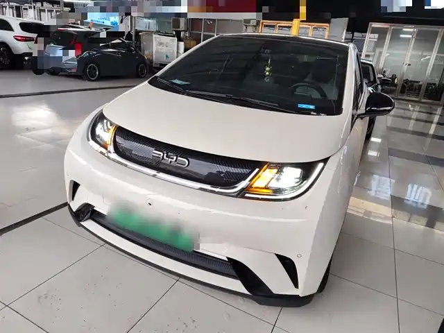 BYD DOLPHIN 2024