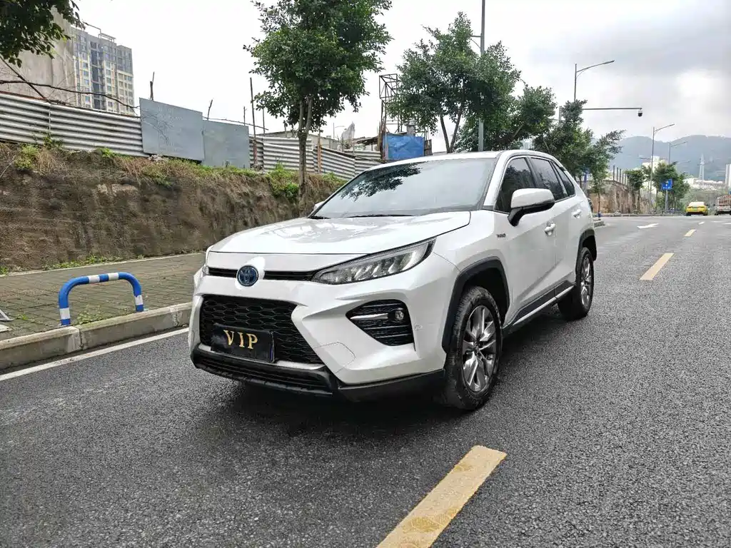 Toyota Wildlander 2021