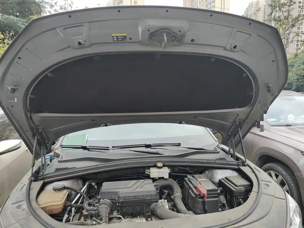 BYD PLUS — миниатюра 16