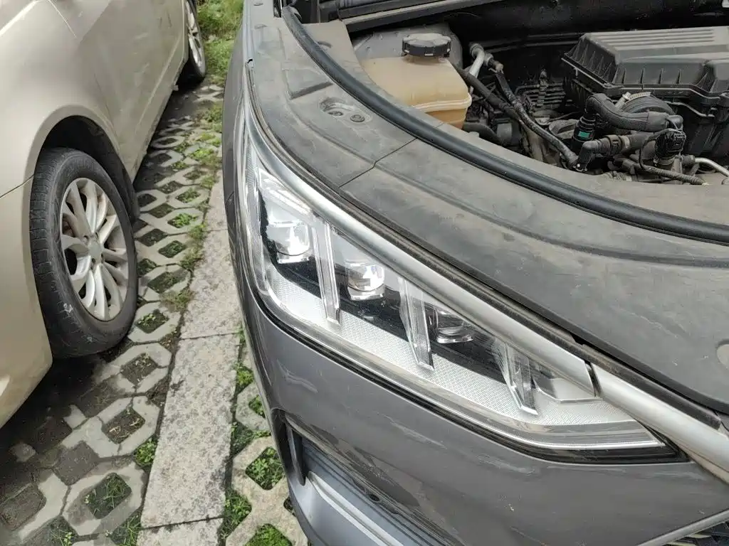 BYD PLUS — миниатюра 20