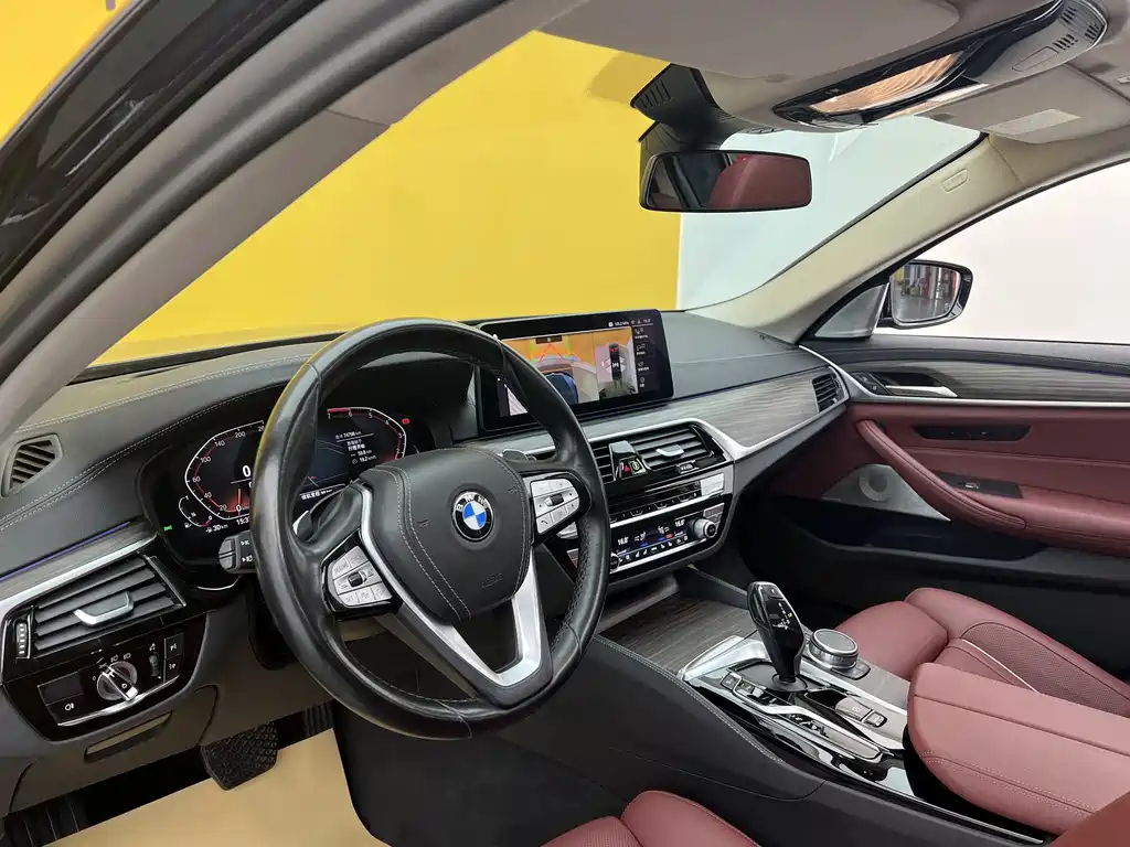BMW 5 Series 5 2021 530Li Executive Luxury
