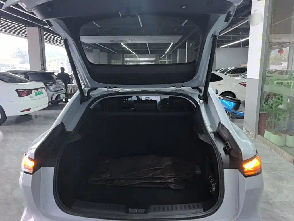 Baojun Xiangjing — миниатюра 19