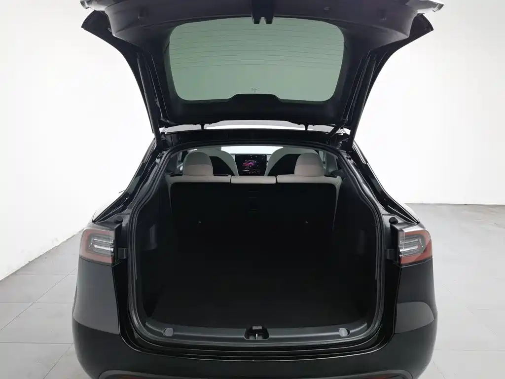 Tesla Model Y — миниатюра 16