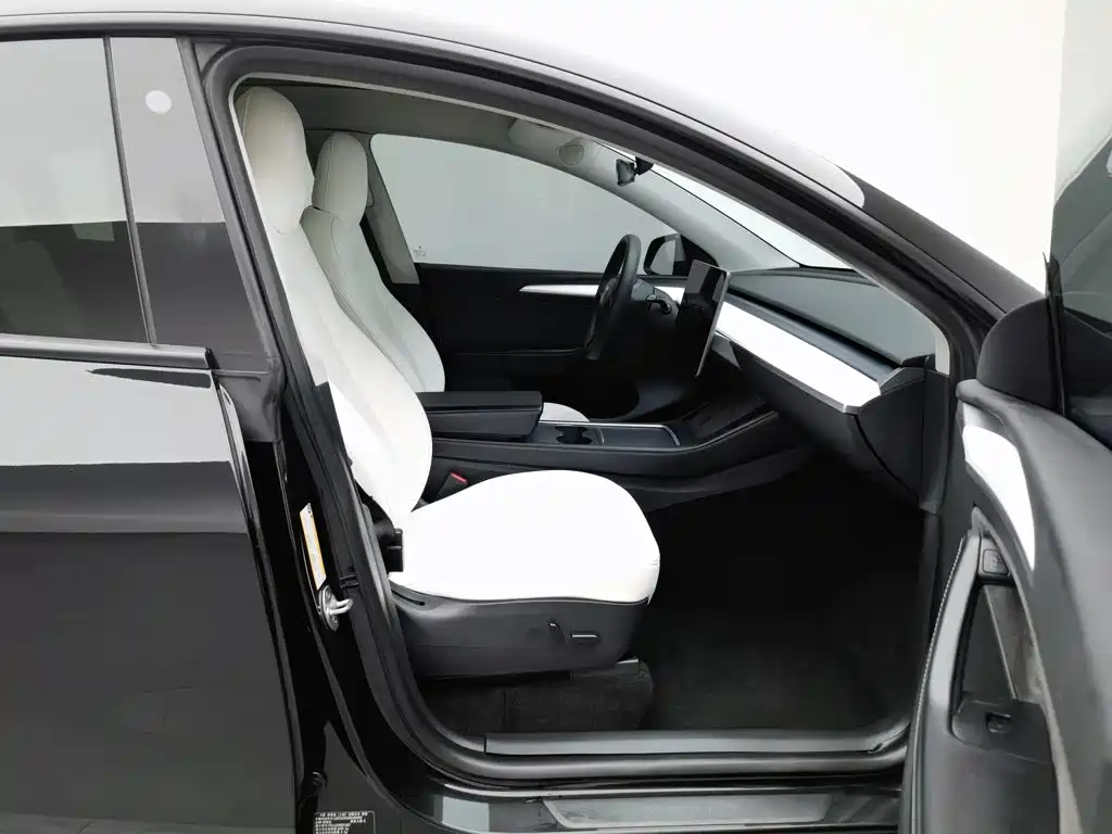 Tesla Model Y — миниатюра 23