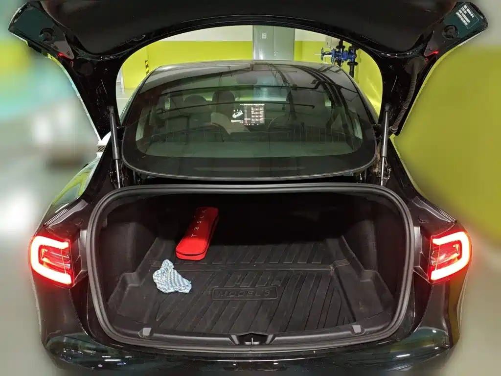 Tesla Model 3 — миниатюра 16