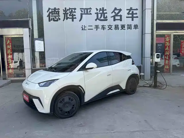 2024 BYD Seagull
