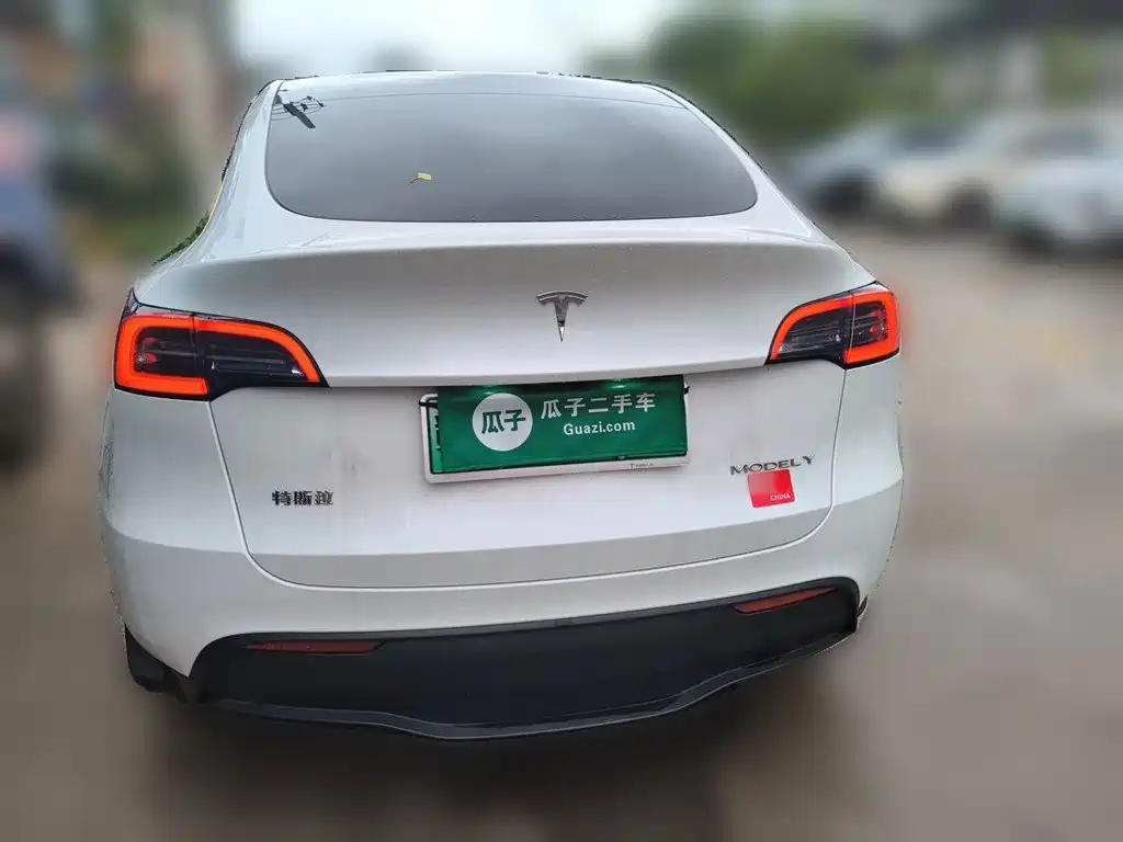 Tesla Model Y — миниатюра 3