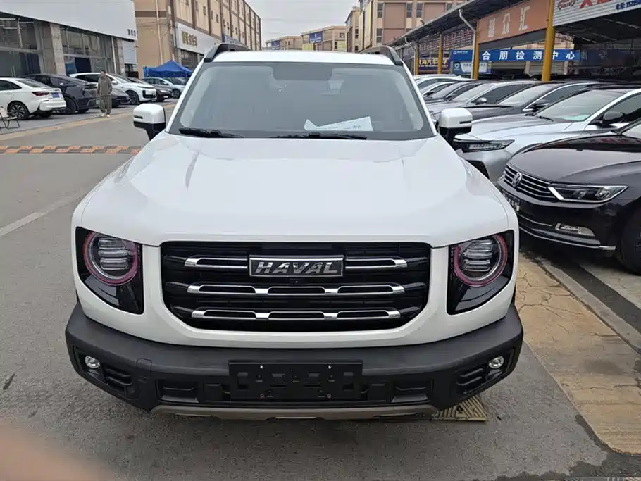 HAVAL BIG DOG