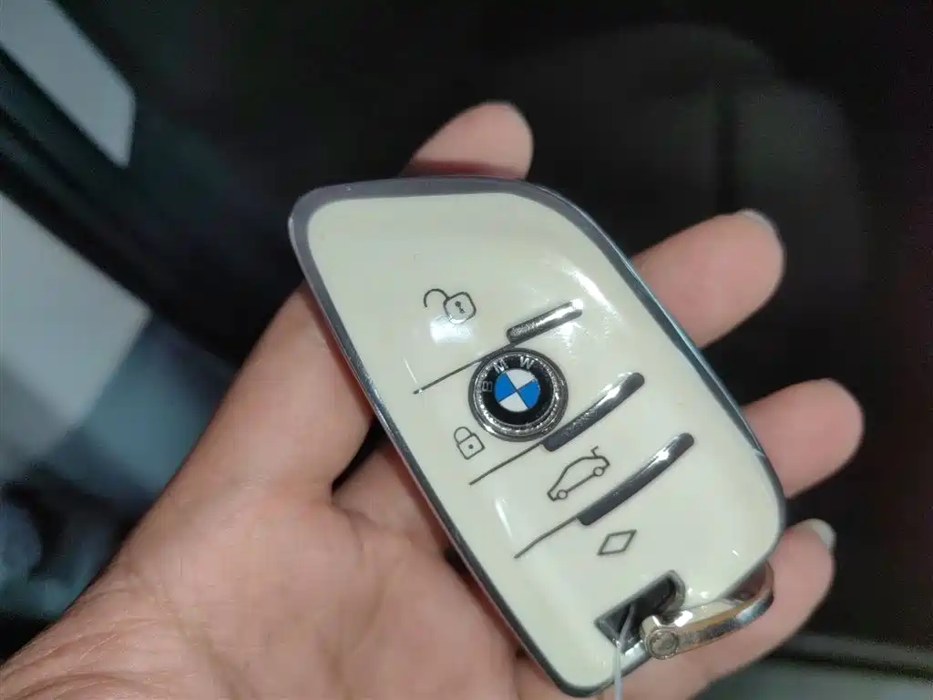 BMW X1 2022 sDrive25Li Lead