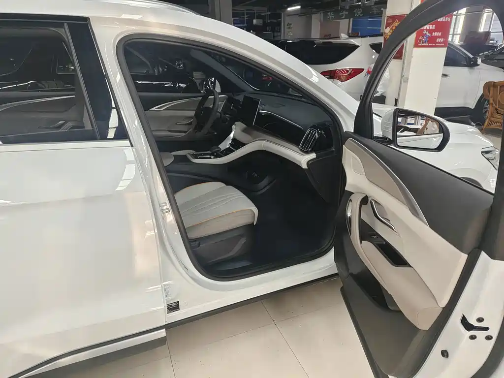BYD Pro New Energy - фото 16