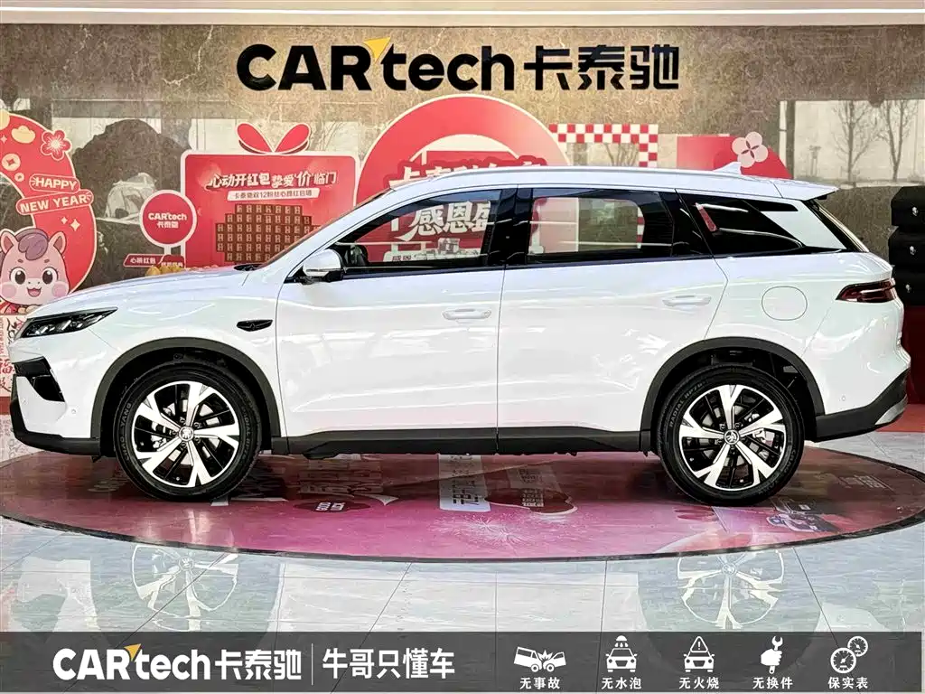 BYD SONGJIANG NEW ENERGY