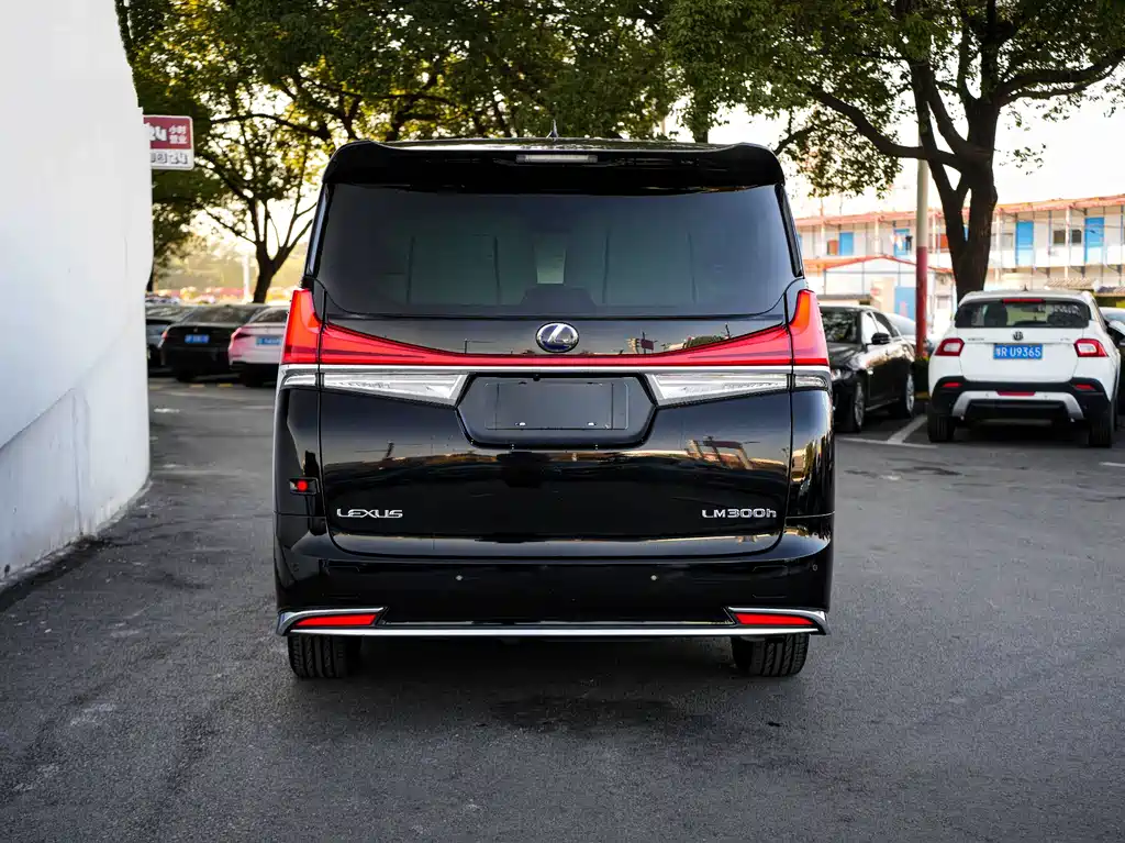 LEXUS LM
