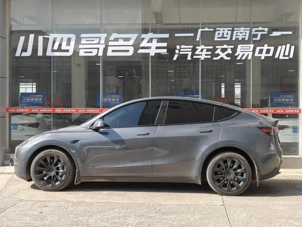 Tesla Model Y — миниатюра 5