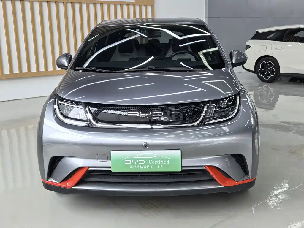 BYD Dolphin — миниатюра 2
