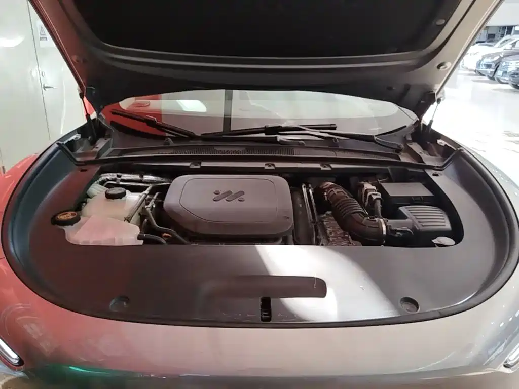 IM IM LS6 — миниатюра 20