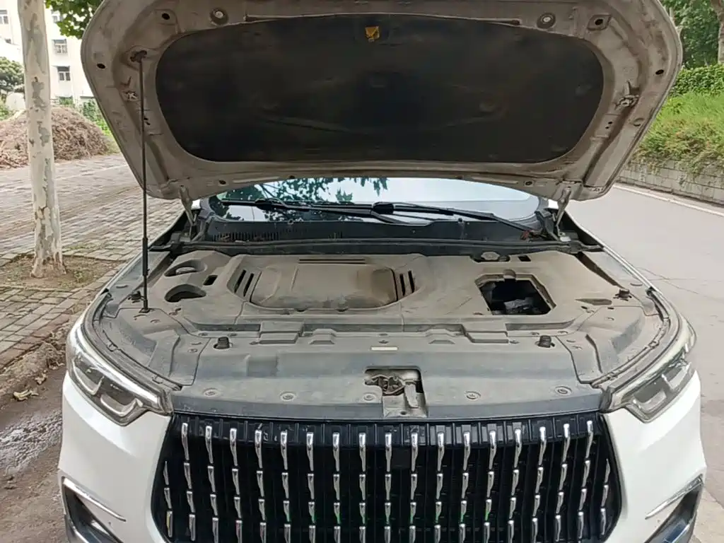 Leopaard Mattu — миниатюра 20