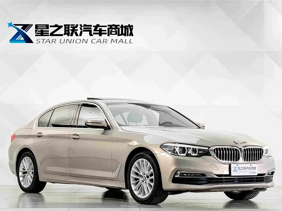 BMW 5 Series 5 2019 525Li Luxury