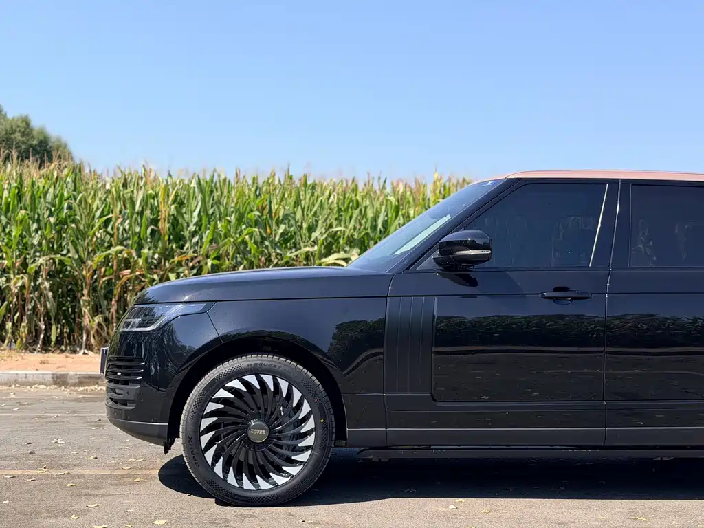 Land Rover Range Rover — миниатюра 11