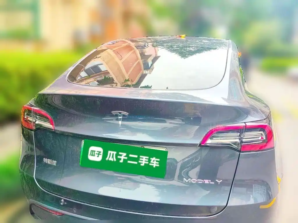 Tesla Model Y — миниатюра 3