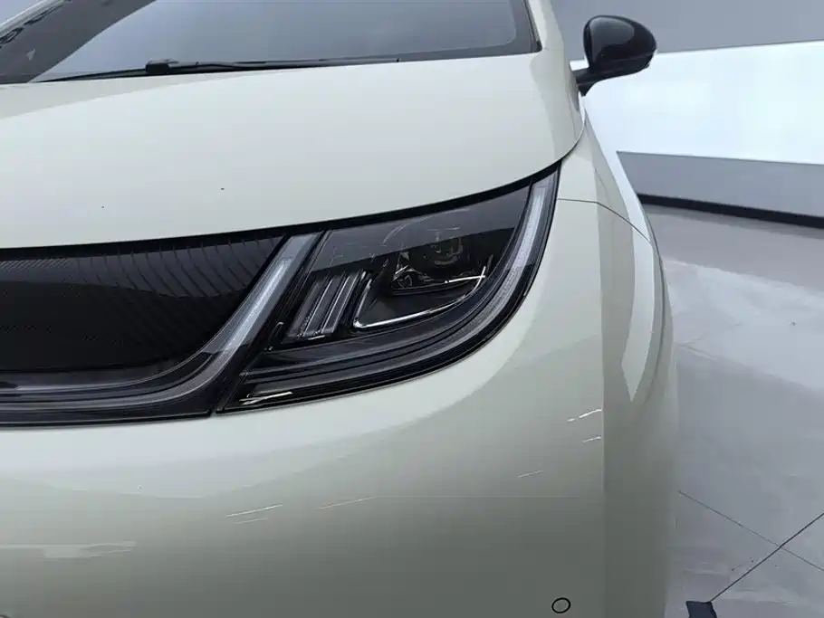 BYD Dolphin — миниатюра 5