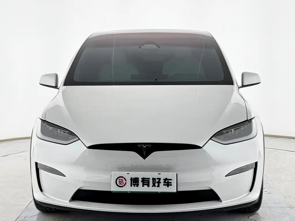 Tesla Model X — миниатюра 2