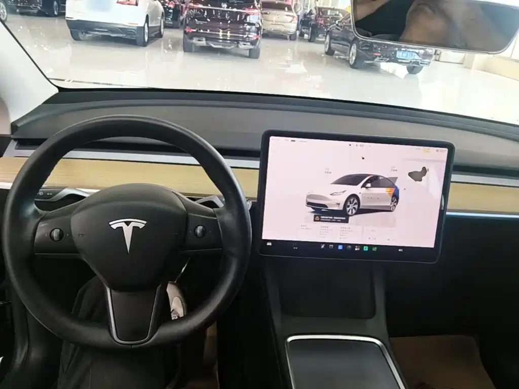 Tesla Model Y — миниатюра 10