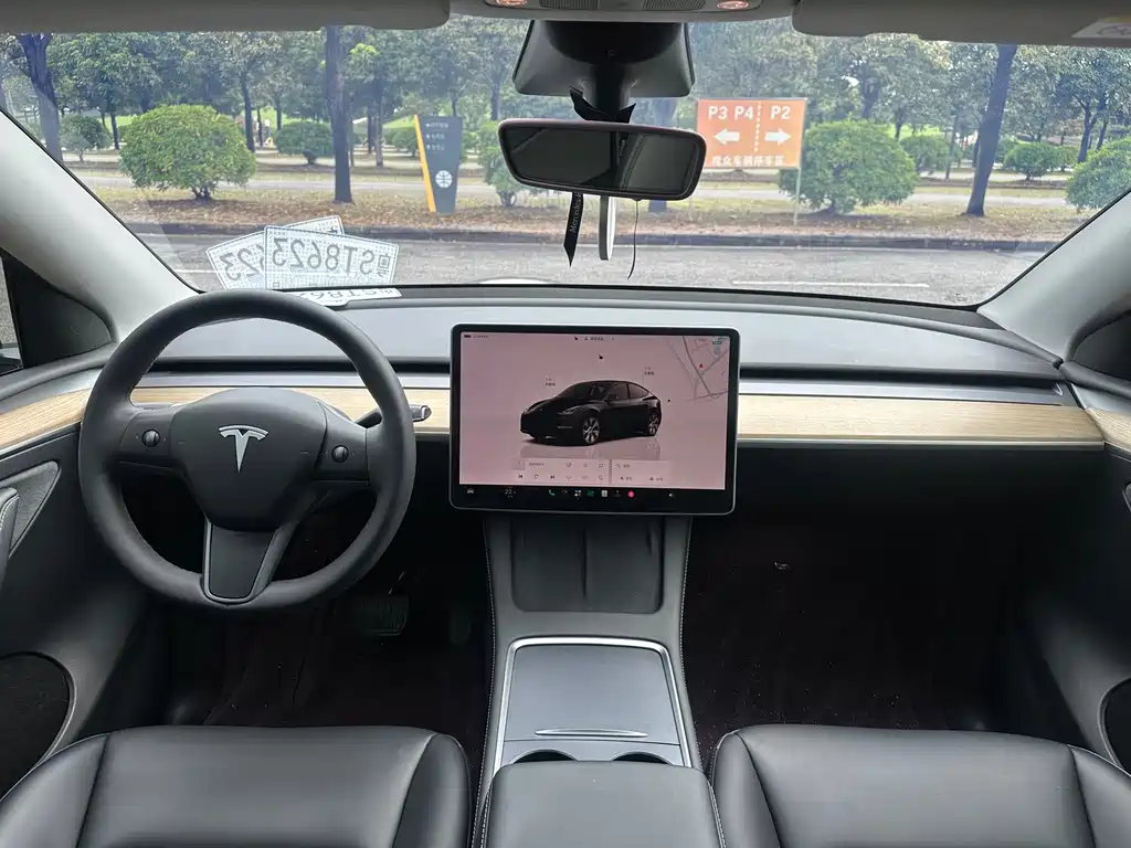 Tesla Model Y — миниатюра 15