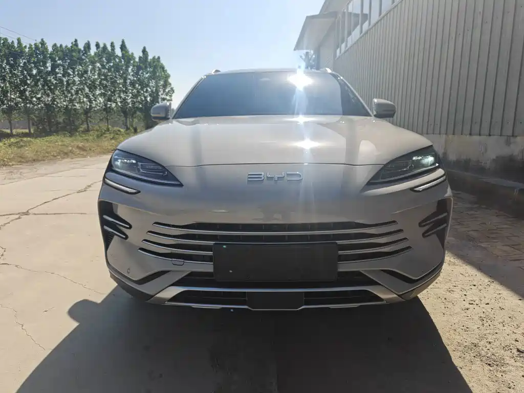 BYD PLUS New Energy — миниатюра 2