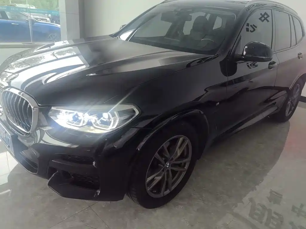 BMW X3 — миниатюра 2